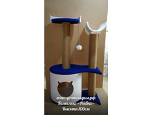 ������� �������� ��� ����� "�����"