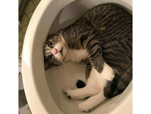 ����� ��� �� ��� �����?