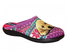 BQ-EM ������.jpg