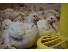 2016-02-15 13.20.24.jpeg