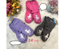 465� 2-4 ���� �� ����� 1.jpg