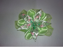 ���� ������� �������� �� �������