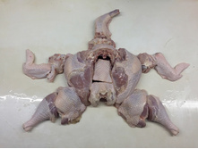 2017-01-23 11.50.23.jpeg