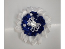 ���� �������� � �������� �� �������