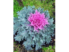 IMG 20191117 090238�.jpg