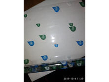 IMG 20191008 113919.jpg