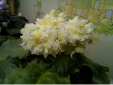 ��-������ ���������� ���.jpg