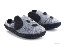 C2-1V �����������.jpg