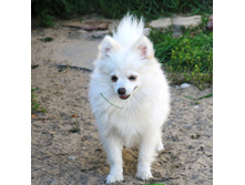 �������! 021.JPG