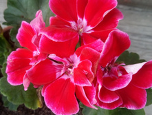 IMG 20190905 095809.jpg