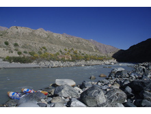 �� ������