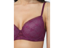 BF6070 �����������.jpg