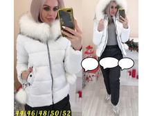 2410� 44,46,48,50,52 2.jpg