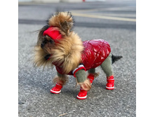 Screenshot 20191129 164345.jpg