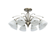 315013608 4500�.jpg