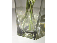 ����� -����-4.JPG