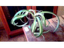 ���������� ��������(�������������)