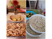 ���� �����