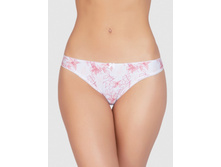 DS2559 ����� �������� �������.jpg