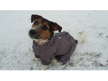 ����������� viber 2019-11-05 07-38-37.jpg