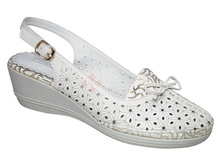 DL73305 �������.jpg