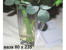 FLEURANGE-���� � ����.JPG