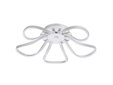 496016905 8��.jpg