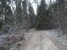 09.JPG
