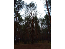 20191026 �������-��������� 140246.jpg