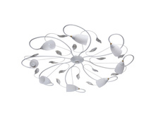 334013108 9800�.jpg