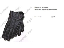 ���� 155.jpg