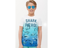 ����� ���� 250