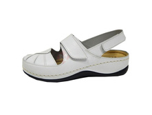 36-6T �����.jpg