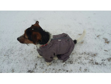 ����������� viber 2019-11-05 07-38-38.jpg