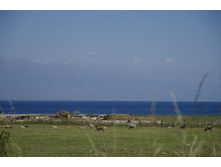 �����-����