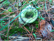 20191026 �������-��������� 145911.jpg