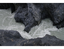 ������ ����