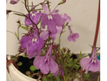 ������� ������ �����. IMG 20191023 184739.jpg