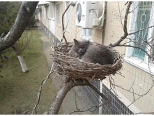 �� �� �� ������. ��� �������� ����.