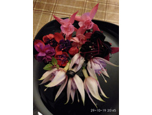 IMG 20191029 204540.jpg