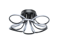 496017508 5��.jpg