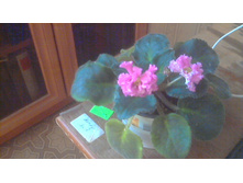 ��-�������