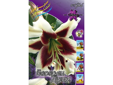 ����� ������� ����-42,38 �������� 2��.jpg