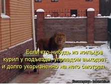 ���� ���-������ �� ������� ����� � ��������, �������� ������� � ����� ����������� �� ���� ������� ...