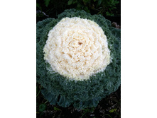 IMG 20191117 090320�.jpg