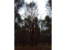 20191026 �������-��������� 140231.jpg