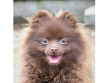 ���� 006.JPG