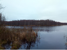 20191019 ��������� ����������� 120915.jpg