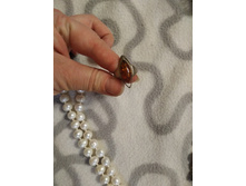 IMG 20191101 213833.jpg