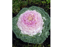 IMG 20191117 090253�.jpg